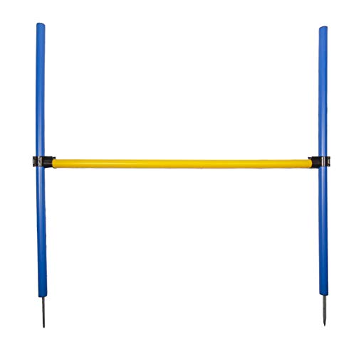 Hurdle Jump