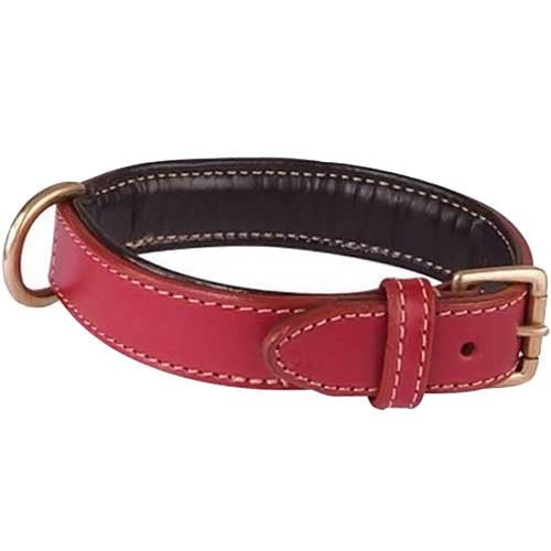 Collar Classique Haute Finition 50 Red