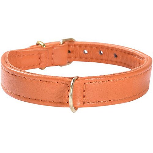 Collar Evasion Orange 45
