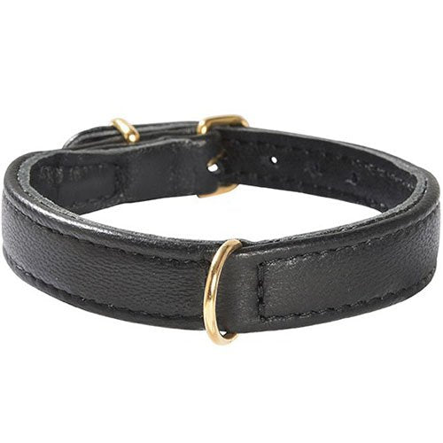 Collar Evasion Black 40