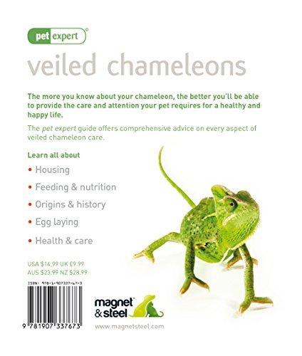 Veiled Chameleons - Pet Expert