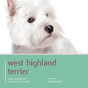 West Highland White Terrier - Dog Expert