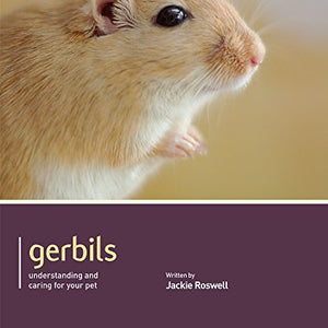 Gerbil - Pet Friendly