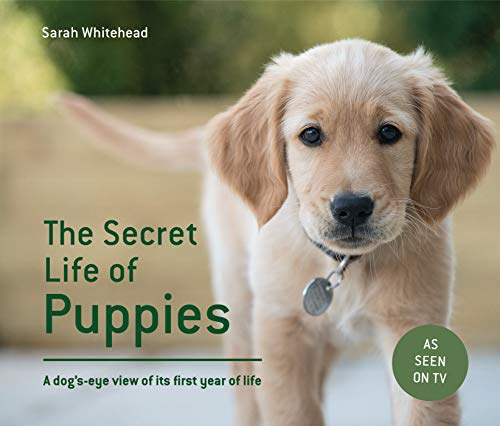 The Secret Life Of Puppies