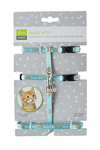Cat Harness+Leash Sweet Kitty Nylon Light Blue  Pack Of 3 | Hunter