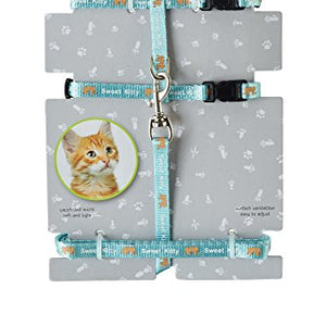 Cat Harness+Leash Sweet Kitty Nylon Light Blue  Pack Of 3 | Hunter