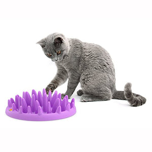 Catch Interactive  Cat Feeder | Gor Pets