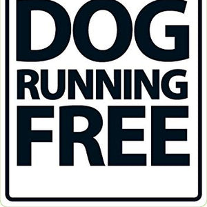 Caution Dog Running Free