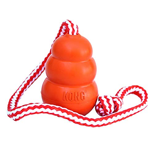 Kong Aqua Large (10Cm) Orange | Gorpets