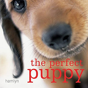 Perfect Puppy