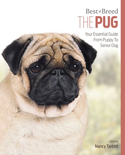 Pug Best Of Breed - Paperback