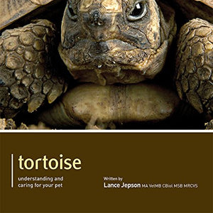 Tortoise - Pet Expert