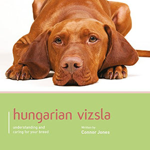 Hungarian Vizsla - Dog Expert