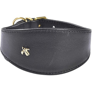 Collar Levrier Black 45