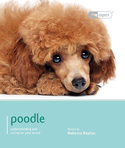 Poodle - Dog Expert