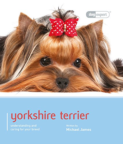 Yorkshire Terrier - Dog Expert
