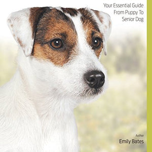 Jack Russell Best Of Breed - Paperback