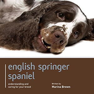 English Springer Spaniel - Dog Expert