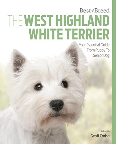 West Highland White Terrier - Best Of Breed - Paperback