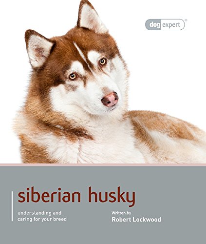 Siberian Husky - Dog Expert