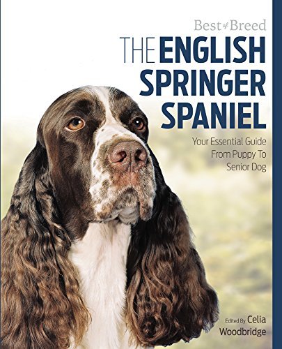 English Springer Spaniel Best Of Breed - Paperback