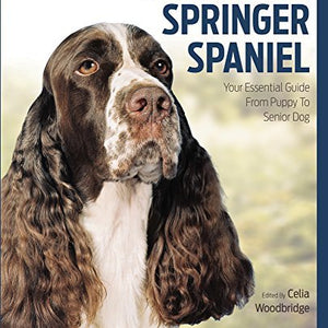 English Springer Spaniel Best Of Breed - Paperback
