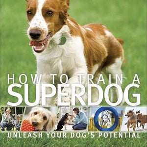 How To Train A Superdog - Mini