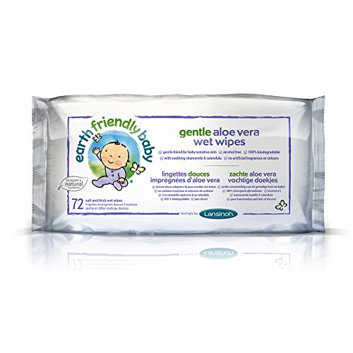 Earth Friendly Gentle Aloe Vera Wet Wipes
