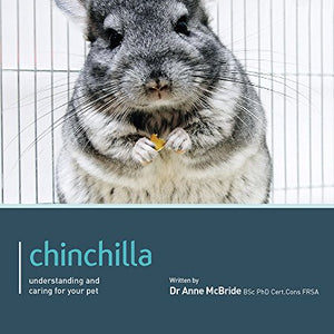 Chinchilla - Pet Friendly