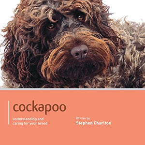 Cockapoo - Dog Expert