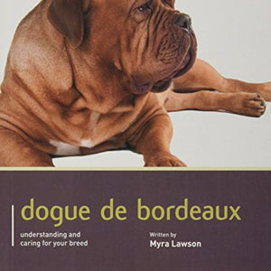 Dogue De Bordeaux - Dog Expert