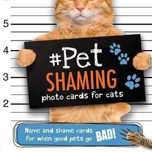 Pet Shaming For Cats