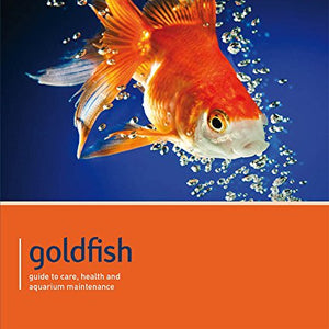 Goldfish - Pet Friendly