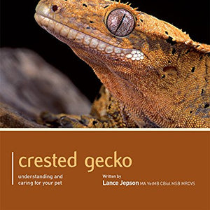 Crested Gecko - Pet Expert
