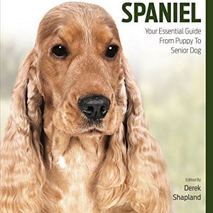 Cocker Spaniel Best Of Breed - Paperback