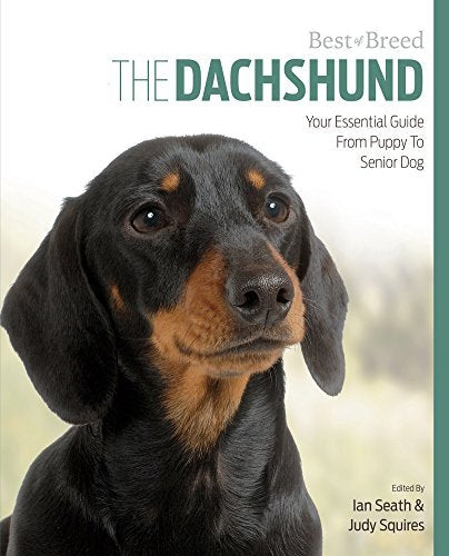 Dachshund Best Of Breed - Paperback