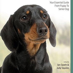 Dachshund Best Of Breed - Paperback