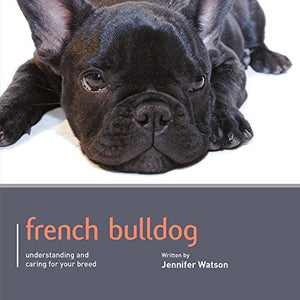 French Bulldog - Dog Expert