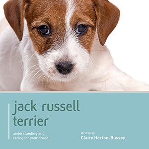 Jack Russell Terrier - Dog Expert