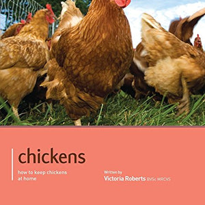 Chicken - Pet Friendly