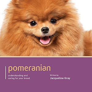 Pomeranian - Dog Expert