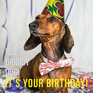 Hot Diggidy Dog! It'S Your Birthday