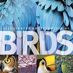 The Illustrated Encyclopedia Of Birds