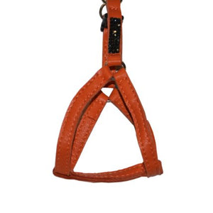 Harness Petite Princesse Orange 15