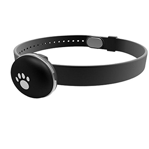 Petrover Activity Monitor | Pettorway