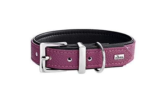 Collar Vega, 35 Raspberry/Black | Hunter