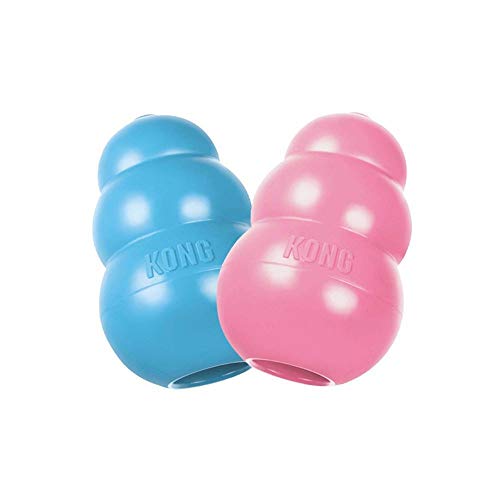 Kong Puppy Medium (8.5Cm) Blue/Pink (Random Pick) | Gorpets