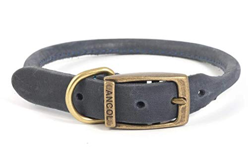 Timberwolf Leather Round Collar Blue 39-48cm Size 5