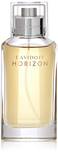 Davidoff Horizon 75ml Eau De Toilette Spray For Him