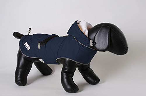 Mac In A Pack Blue Small| Doodlebone